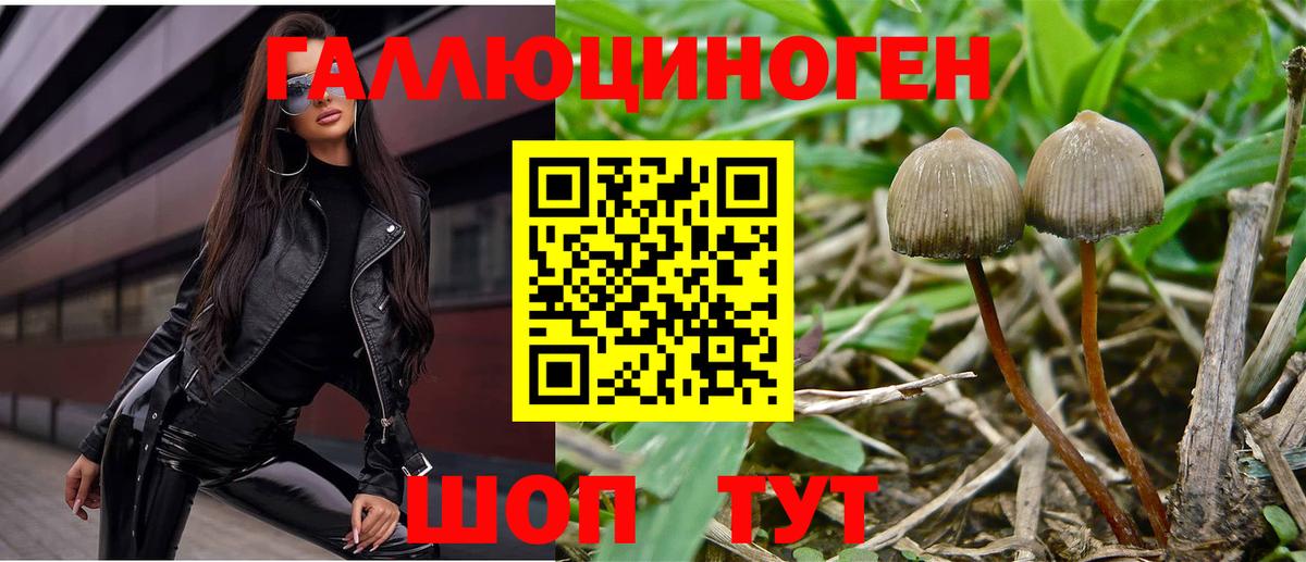 Галлюциногенные грибы мухоморы Мценск